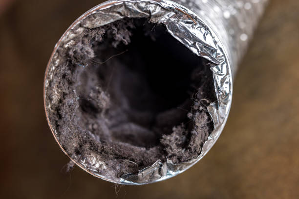 Best Duct Cleaning Specialists  in Catlin, IL
